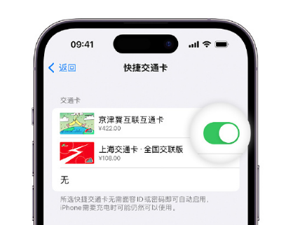 凌河apple维修点分享iPhone上更换Apple Pay快捷交通卡手绘卡面 