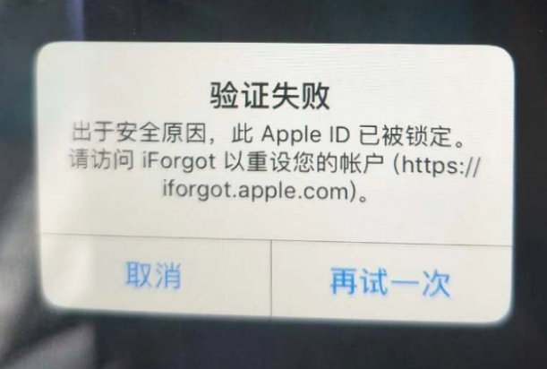 凌河iPhone维修分享iPhone上正常登录或使用AppleID怎么办 