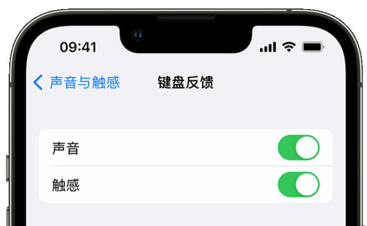 凌河苹果手机维修分享iPhone 14触感键盘使用方法 