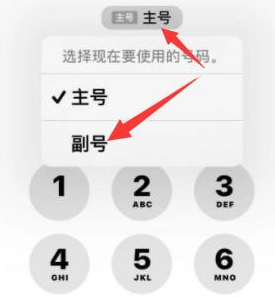 凌河苹果14维修店分享iPhone 14 Pro Max使用副卡打电话的方法 