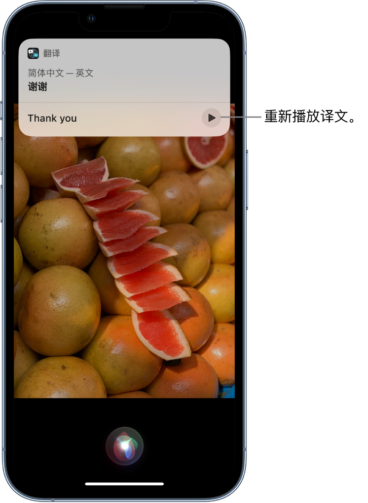 凌河苹果14维修分享 iPhone 14 机型中使用 Siri：了解 Siri 能帮你做什么 