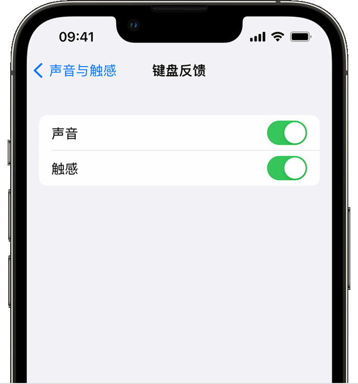 凌河苹果14维修分享iPhone 14 系列机型如何开启键盘声音或触感反馈 