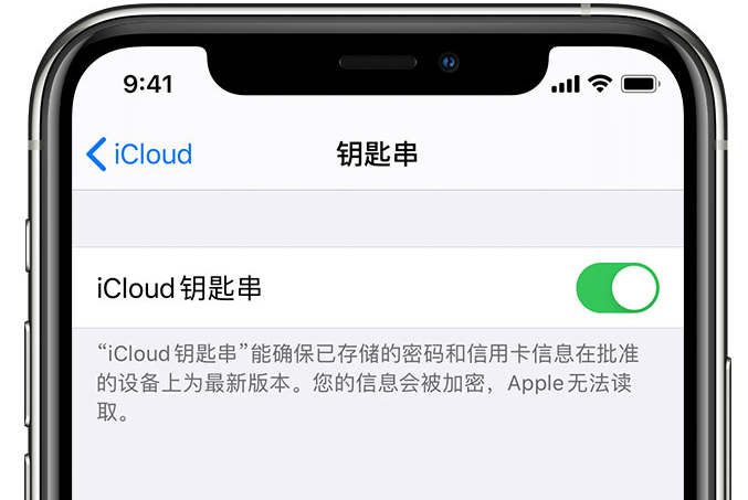 凌河苹果手机维修分享在 iPhone 上开启 iCloud 钥匙串之后会储存哪些信息 
