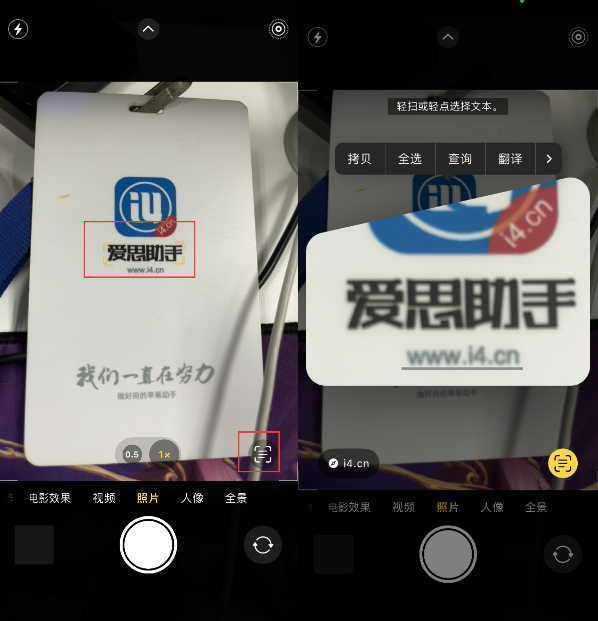 凌河苹果手机维修分享升级iOS 16后如何通过相机翻译文本 