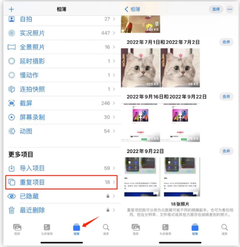 凌河苹果手机维修分享iOS 16 中相册重复项目功能使用方法 