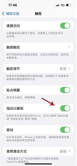 凌河苹果手机维修分享iPhone手机如何设置摇一摇删除文字 