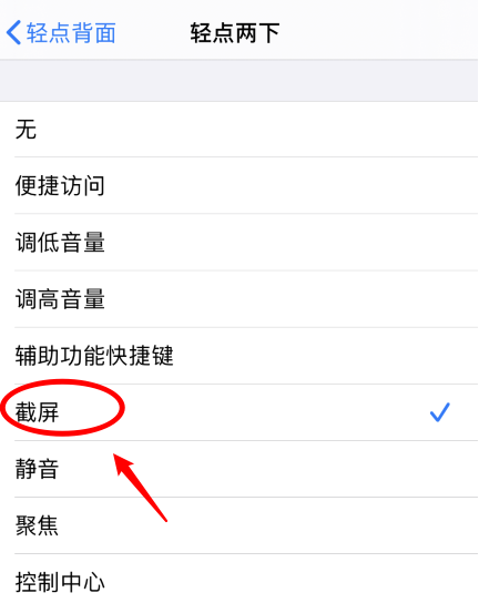 凌河苹果手机维修分享iPhone12如何启用双击截屏 