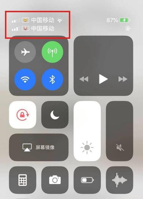 凌河苹果手机维修分享为 iPhone 12 双卡设置标签 