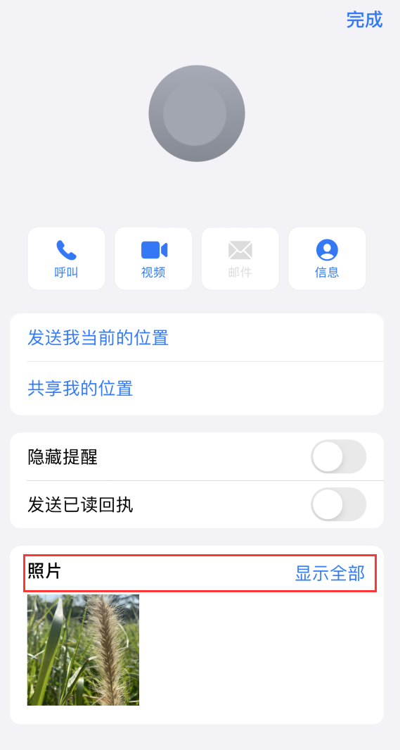 凌河苹果手机维修分享如何快速查找 iMessage 信息中的图片等附件 