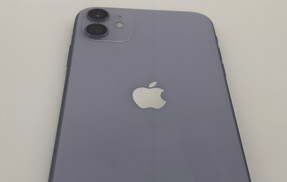 凌河苹果11系统维修分享iPhone11手机系统崩溃无法开机如何解决 