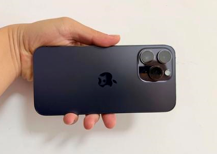 凌河苹果维修点分享iPhone 14 Pro Max黑屏少见故障盘点 